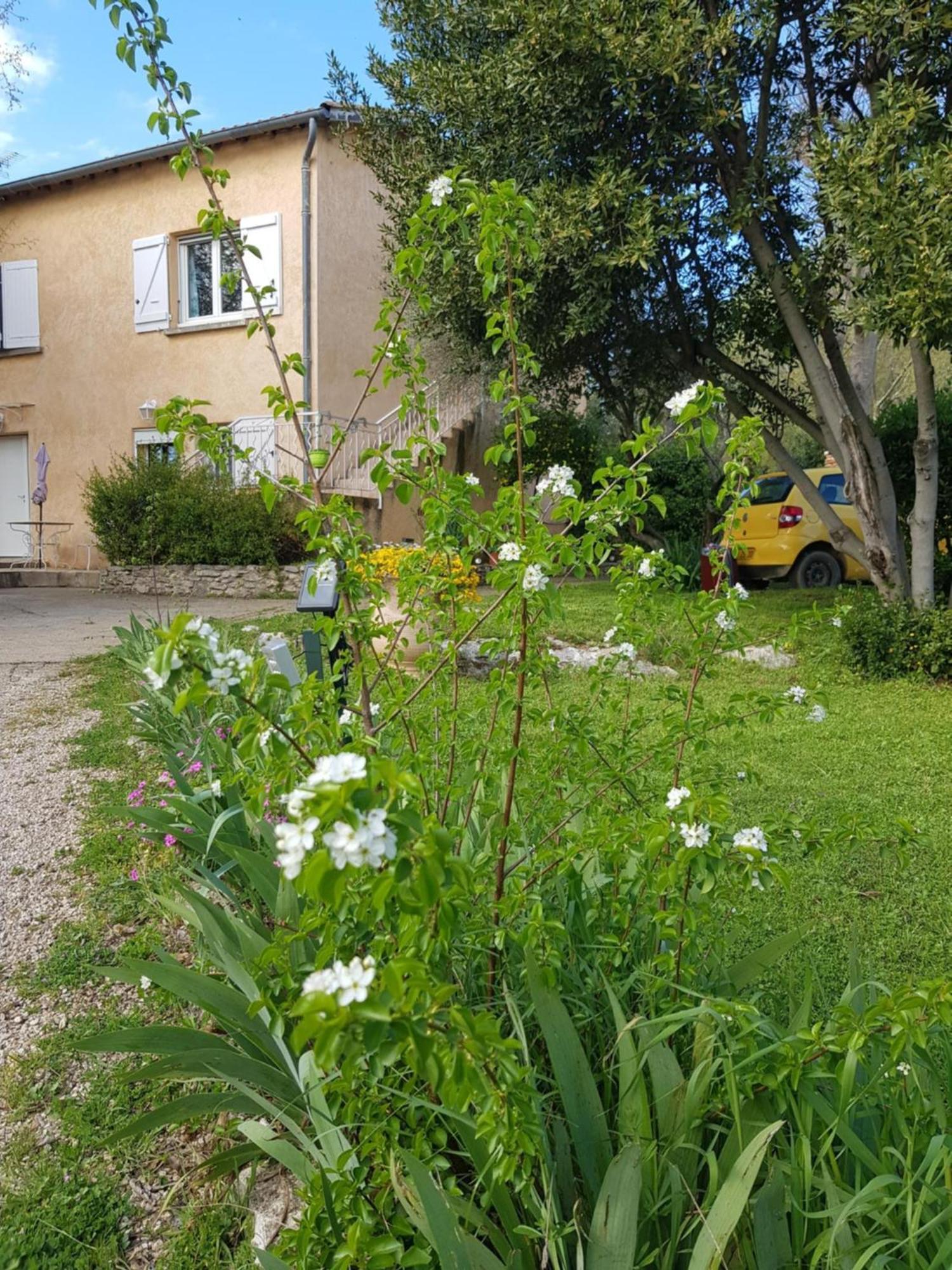 Cap Au Sud Sweet Home نيم المظهر الخارجي الصورة
