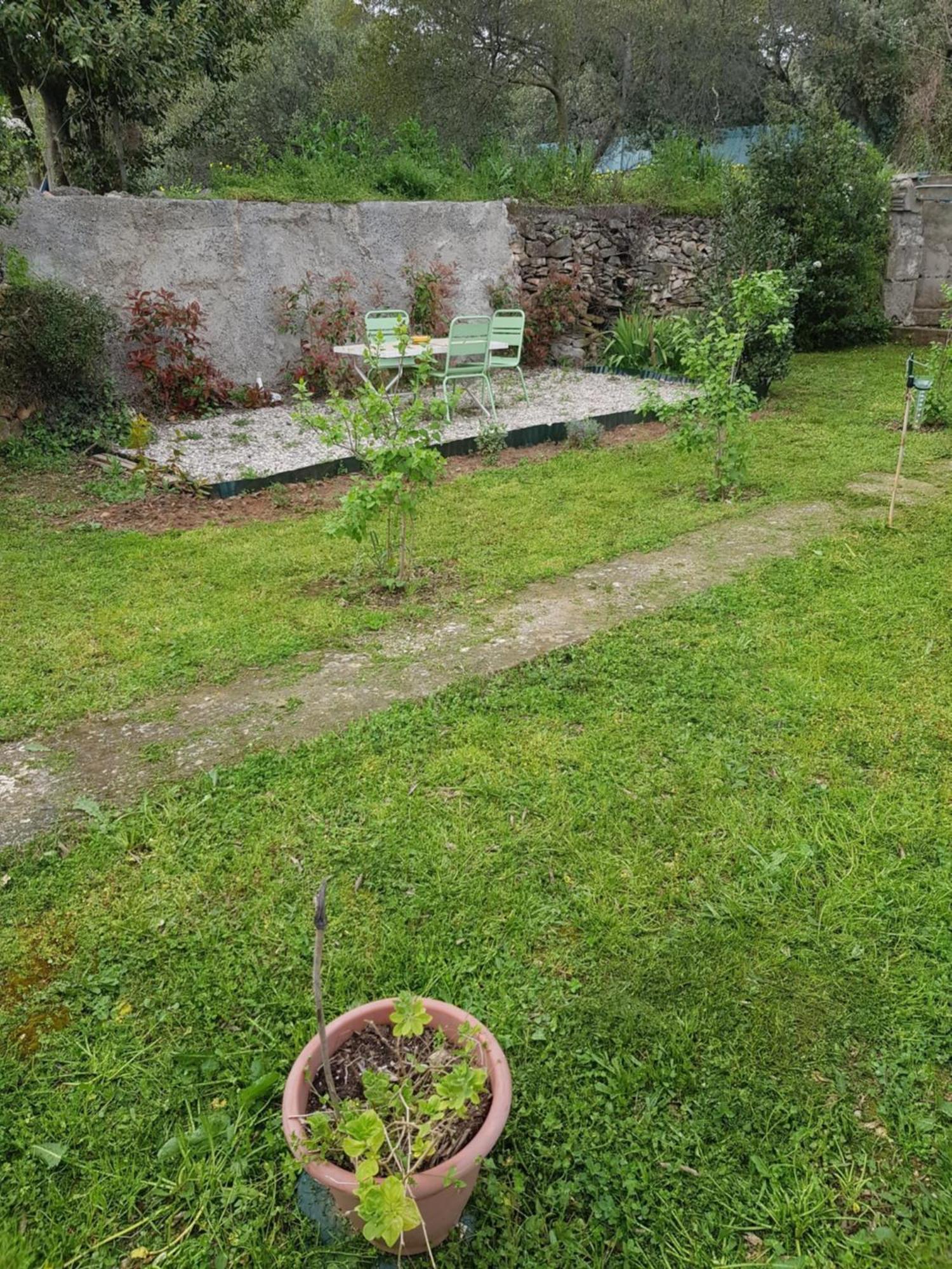 Cap Au Sud Sweet Home نيم المظهر الخارجي الصورة