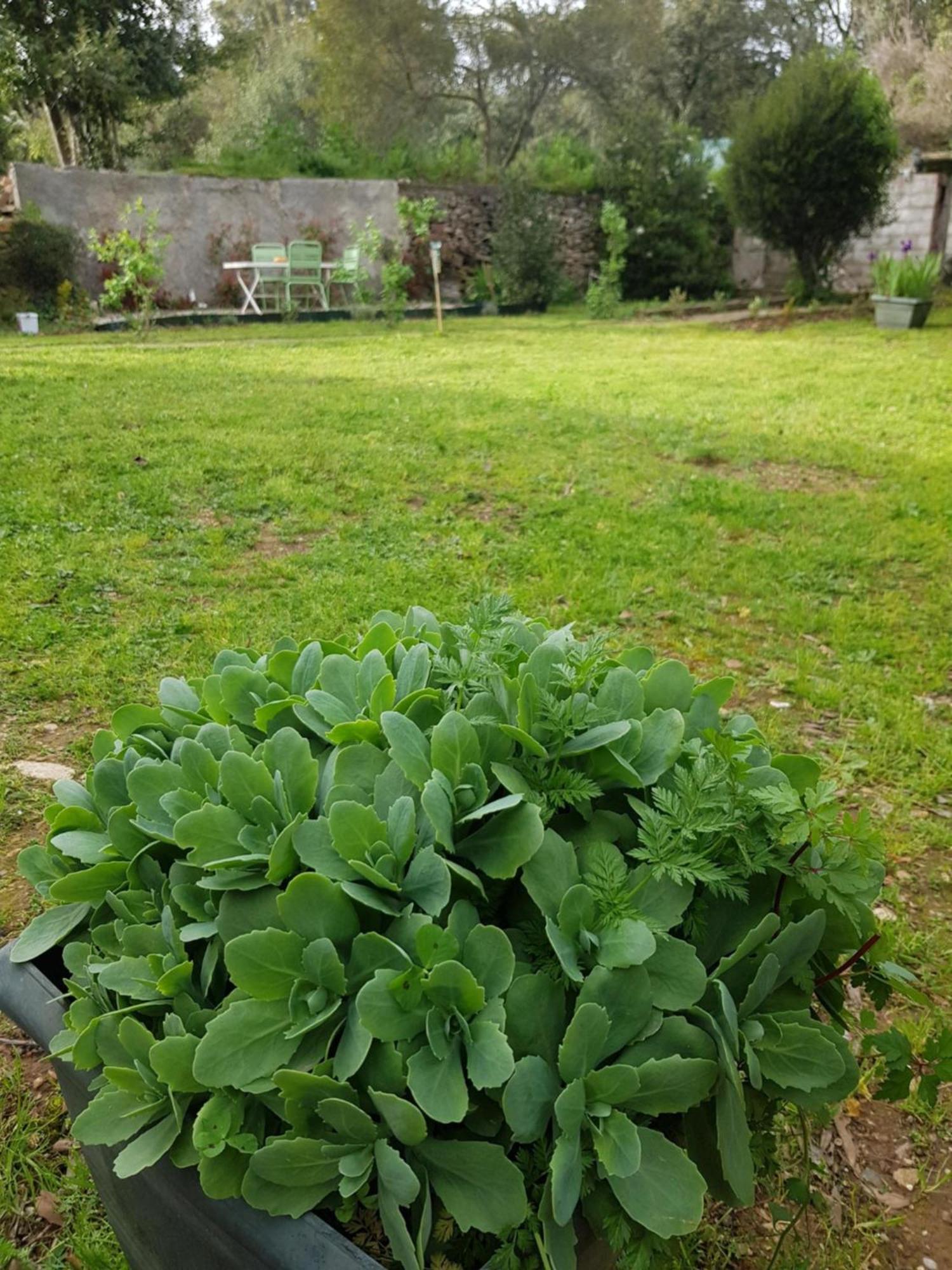 Cap Au Sud Sweet Home نيم المظهر الخارجي الصورة